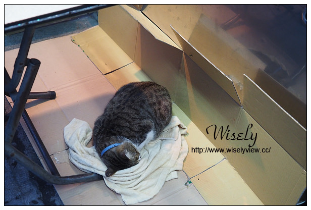 【食記】台北市。中山區：阿俊大腸麵線/甜不辣、阿梅油飯/冬粉＠捷運行天宮站美食