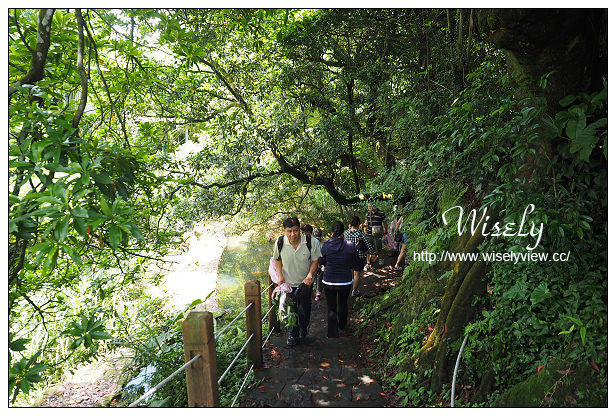 【遊記】台北市。陽明山花季：2015竹子湖繡球花海＠水車寮步道，東湖海芋花卉區(交通指南)