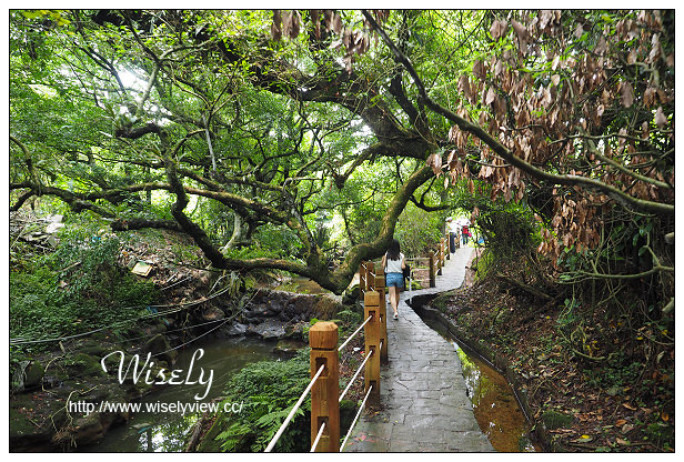 【遊記】台北市。陽明山花季：2015竹子湖繡球花海＠水車寮步道，東湖海芋花卉區(交通指南)