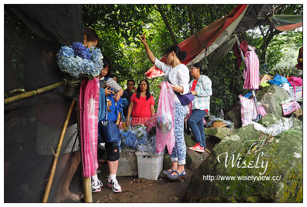 【遊記】台北市。陽明山花季：2015竹子湖繡球花海＠水車寮步道，東湖海芋花卉區(交通指南)