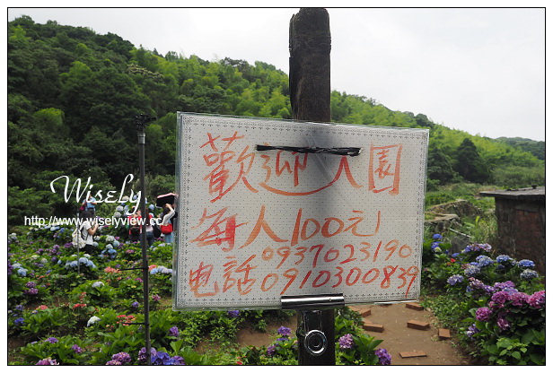 【遊記】台北市。陽明山花季：2015竹子湖繡球花海＠水車寮步道，東湖海芋花卉區(交通指南)