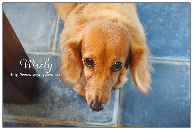 【食記】台北市。大安區：Left Party佐派份子私廚料理小派對＠溫州街巷弄裡的法式餐點店，捷運台電大樓站美食 @WISELY's 拍拍照寫寫字