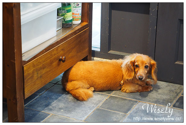 【食記】台北市。大安區：Left Party佐派份子私廚料理小派對＠溫州街巷弄裡的法式餐點店，捷運台電大樓站美食