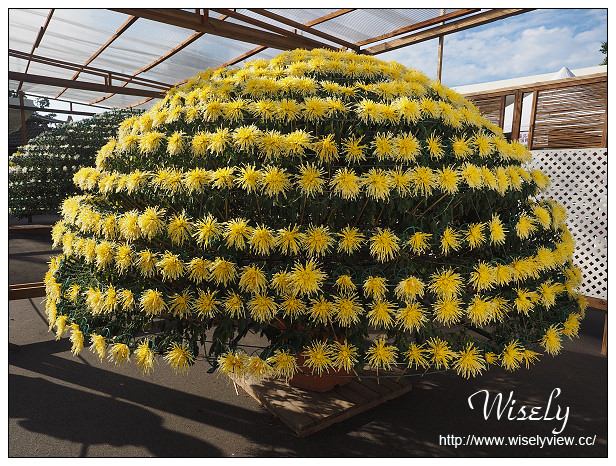 【遊記】台北士林。2015士林官邸菊展：嬉遊秋菊＠展期11/14-11/29，主打西遊記主題故事