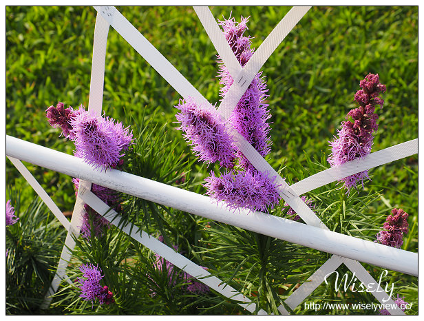 【遊記】台北士林。2015士林官邸菊展：嬉遊秋菊＠展期11/14-11/29，主打西遊記主題故事