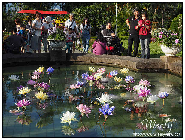 【遊記】台北士林。2015士林官邸菊展：嬉遊秋菊＠展期11/14-11/29，主打西遊記主題故事