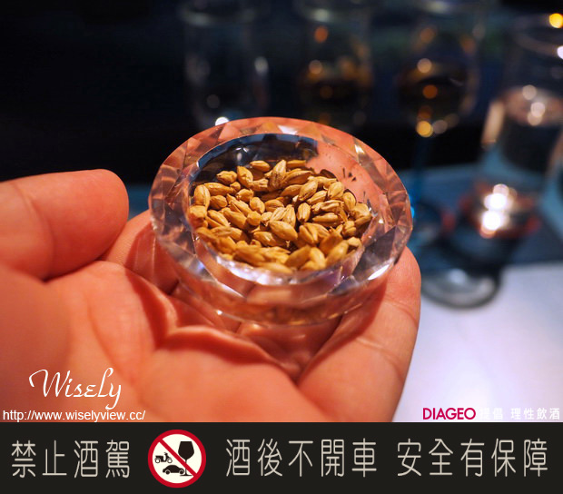 【活動】台北市。華山創意園區：蘇格登全感藝境＠英國前衞風味藝術創作，劇場式品酩盛宴(11/20-12/20)