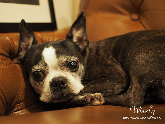 【食記】台北大同。捷運中山站：Modern Mode & Modern Mode Café(小摩登咖啡)＠巴黎古董精品咖啡館