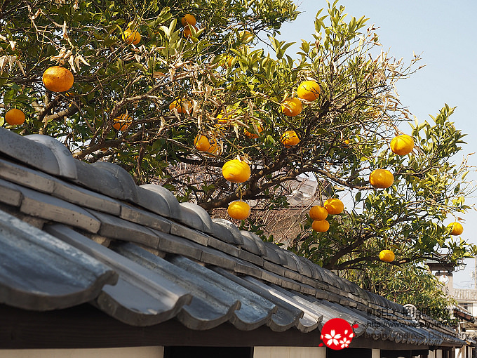 【旅行】日本本州。中國地方:山口縣邀訪分享@景點美食溫泉名產綜合資訊 【旅行】日本本州。中國地方:山口縣邀訪分享@景點美食溫泉名產綜合資訊