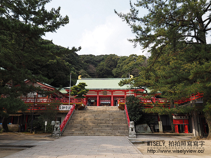 【日本山口廣島自由行】下關唐戶市場(河豚大餐)、赤間神宮、日清講和紀念館、海響館