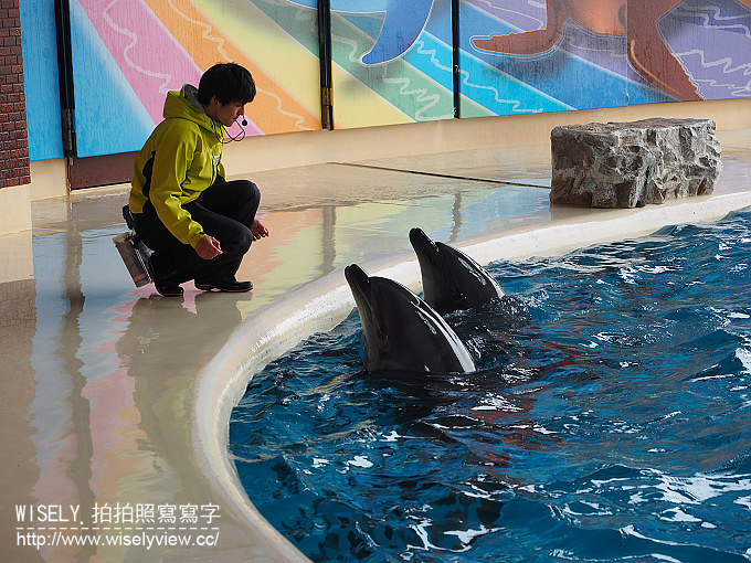 【日本山口廣島自由行】下關唐戶市場(河豚大餐)、赤間神宮、日清講和紀念館、海響館