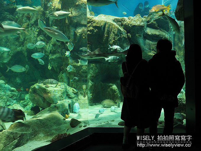 【日本山口廣島自由行】下關唐戶市場(河豚大餐)、赤間神宮、日清講和紀念館、海響館