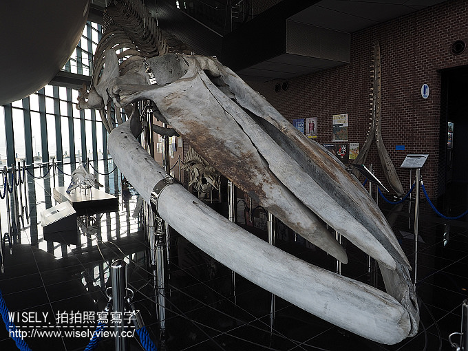 【日本山口廣島自由行】下關唐戶市場(河豚大餐)、赤間神宮、日清講和紀念館、海響館