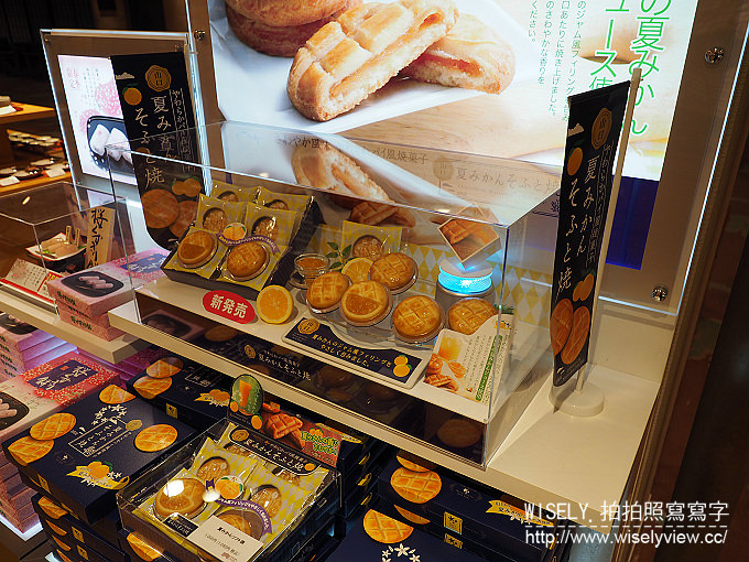 【日本山口廣島自由行】長門市：大谷山莊(長門湯本溫泉)＠眺望四季色彩的摩登日式旅館