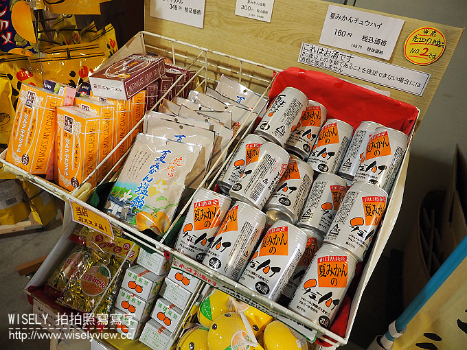 【日本山口廣島自由行】JR萩車站轉乘觀光巴士、萩しーまーと(来萩)、世界遺產(萩反射爐、惠美須鼻造船廠遺址)