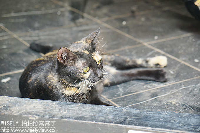 【分享】相機。索尼：Sony A6300一機三鏡＠泰國清邁拍攝使用心得&實拍作品分享