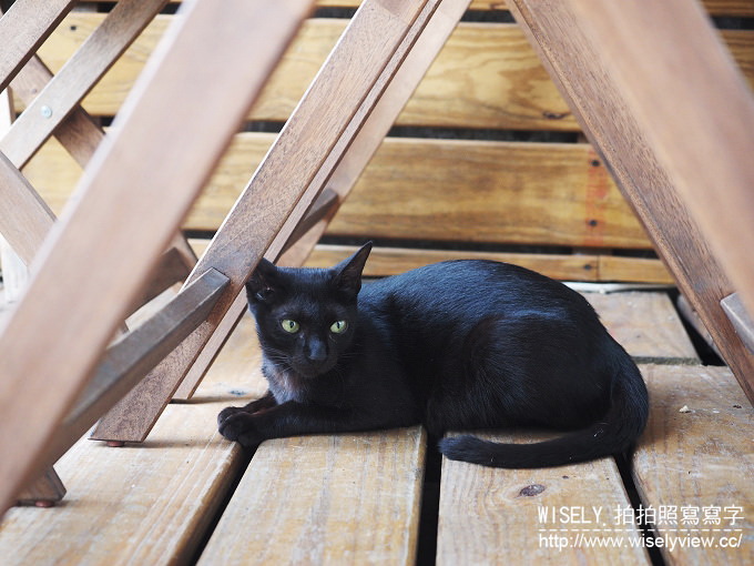 台南中西。小西門時光驛棧 West Town Café︱特色老宅咖啡與美味咖哩（已搬遷）