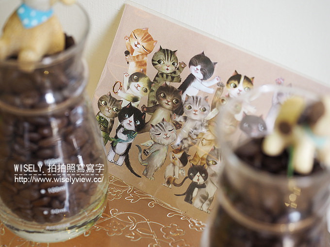 【食記】宜蘭縣。礁溪鄉：伍拾號咖啡店＠鐵馬族與愛貓族必訪的北歐風輕食咖啡店