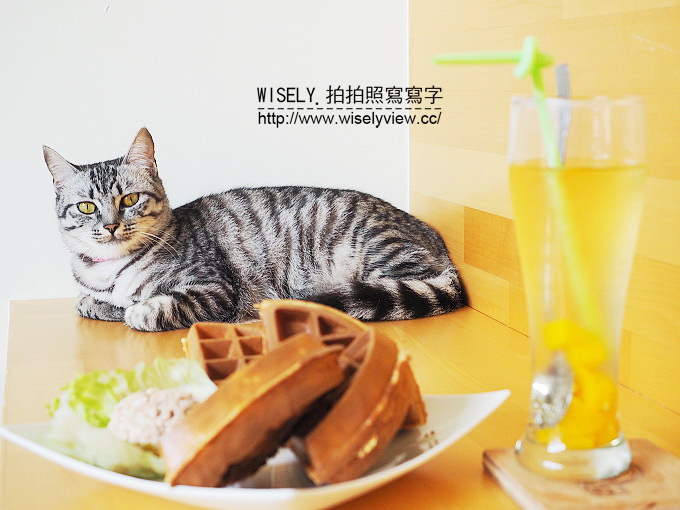 【食記】宜蘭縣。礁溪鄉：伍拾號咖啡店＠鐵馬族與愛貓族必訪的北歐風輕食咖啡店