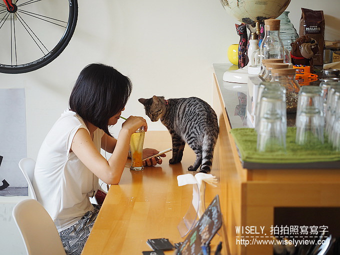 【食記】宜蘭縣。礁溪鄉：伍拾號咖啡店＠鐵馬族與愛貓族必訪的北歐風輕食咖啡店