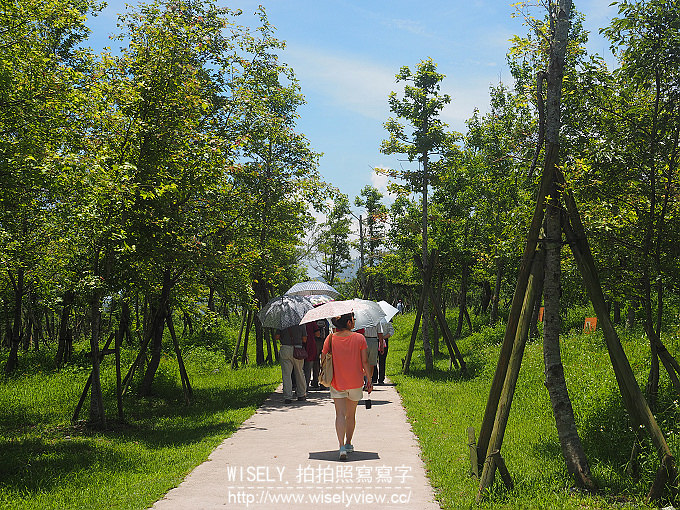 【遊記】宜蘭縣。冬山鄉：冬山河生態綠舟(森林公園)＠山巒河川與田野鐵道美景交匯之處