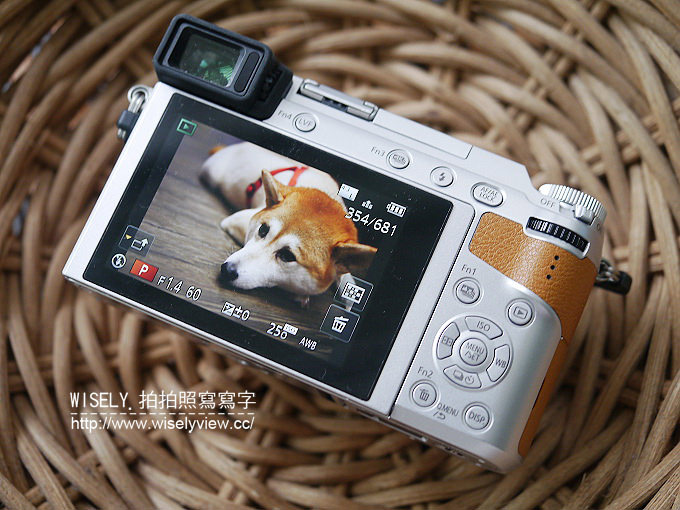 【分享】相機。Panasonic Lumix GX85：捷運漫遊輕旅行＠平價輕巧4K高畫質影像，具備五軸防震、先拍照後對焦等強大功能