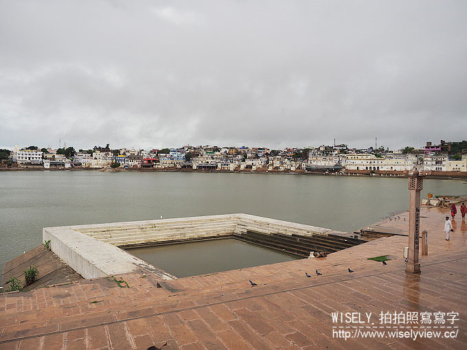 《印度》普希卡/普斯赫卡爾(Pushkar)＠印度人一生必定朝拜梵天神之聖湖，入住Hotel Pushkar Palace (普希卡飯店)