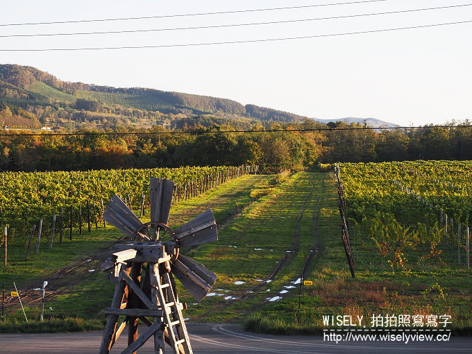 【旅行】日本北海道。空知:宝水ワイナリー (葡萄酒酒廠)、スパ・イン メープルロッジ (SPA & INN THE MAPLE LODGE 毛陽溫泉) & 戶外法式輕食料理 【旅行】日本北海道。空知:宝水ワイナリー (葡萄酒酒廠)、スパ・イン メープルロッジ (SPA & INN THE MAPLE LODGE 毛陽溫泉) & 戶外法式輕食料理