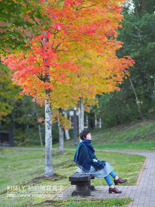【旅行】日本北海道。空知:宝水ワイナリー (葡萄酒酒廠)、スパ・イン メープルロッジ (SPA & INN THE MAPLE LODGE 毛陽溫泉) & 戶外法式輕食料理 【旅行】日本北海道。空知:宝水ワイナリー (葡萄酒酒廠)、スパ・イン メープルロッジ (SPA & INN THE MAPLE LODGE 毛陽溫泉) & 戶外法式輕食料理