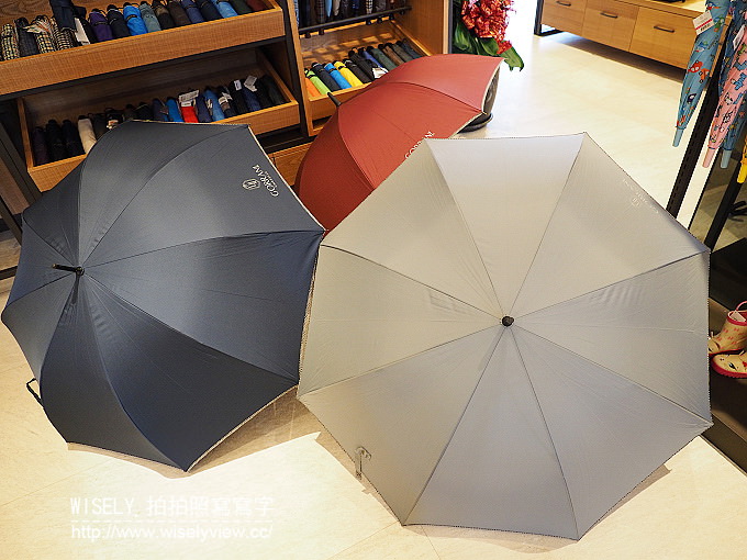 《台中市北屯區。大振豐洋傘文創主題館》展售國內外精品平價雨傘，提供訂製與諮詢服務～(文末留言贈獎活動)