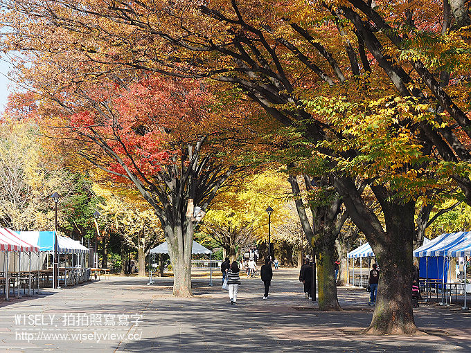 《東京自由行》銀杏景點：光之丘公園／都立光が丘公園＠都營大江戶線至光が丘駅(E38)