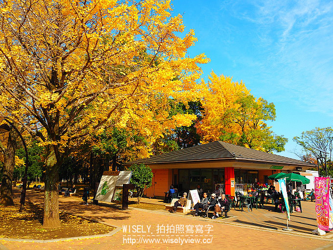 《東京自由行》銀杏景點：光之丘公園／都立光が丘公園＠都營大江戶線至光が丘駅(E38)