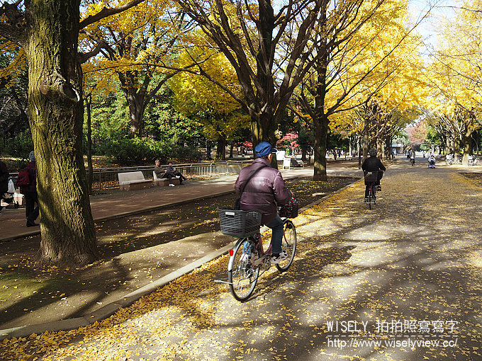 《東京自由行》銀杏景點：光之丘公園／都立光が丘公園＠都營大江戶線至光が丘駅(E38)