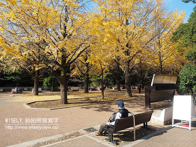 《東京自由行》銀杏景點：光之丘公園／都立光が丘公園＠都營大江戶線至光が丘駅(E38)