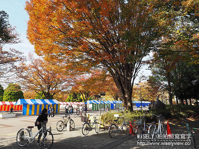 《東京自由行》銀杏景點：光之丘公園／都立光が丘公園＠都營大江戶線至光が丘駅(E38)