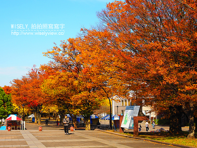 《東京自由行》銀杏景點：光之丘公園／都立光が丘公園＠都營大江戶線至光が丘駅(E38)
