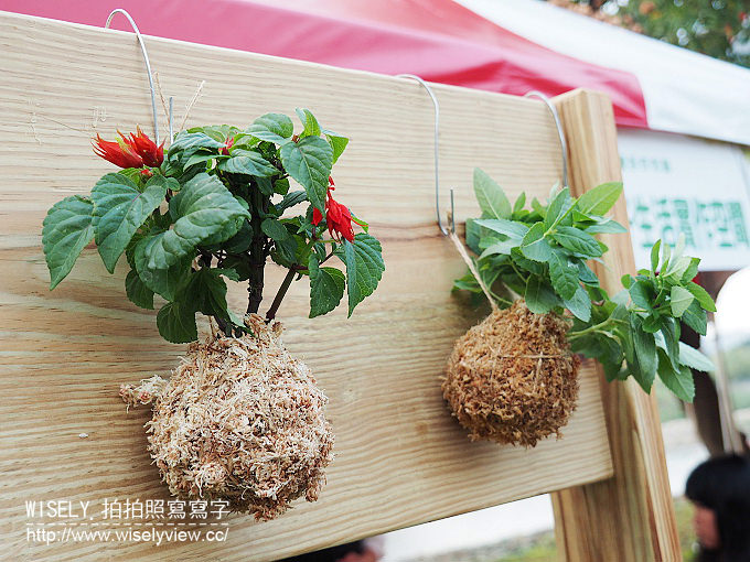 《桃園蘆竹光明河濱公園》走讀水岸生活節＠省水減污宣導體驗、在地美食店家、音樂閱讀互動