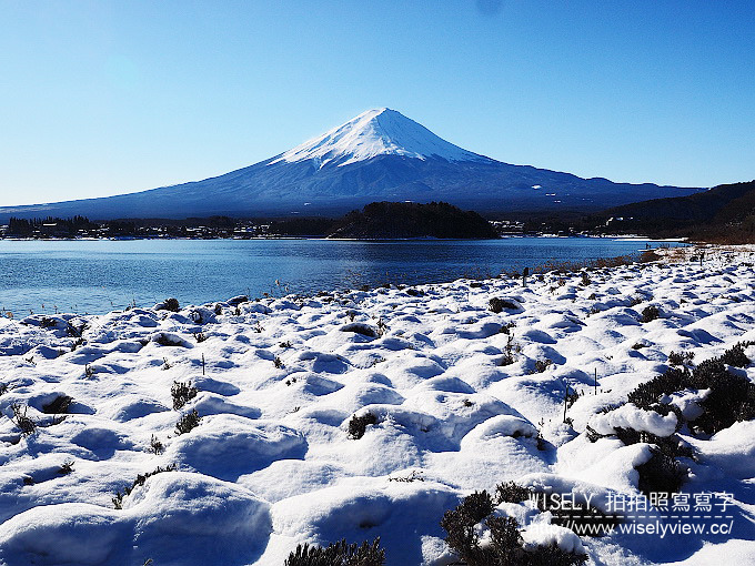 《JR東京廣域周遊券。新潟/群馬/山梨 6-6》大石公園／河口湖自然生活館、西湖療癒之鄉根場(西湖いやしの里根場)／合掌村、飥餺(ほうとう)不動河口湖店、富士急線／富士山景觀特急列車，從東京新宿搭利木津巴士去羽田機場