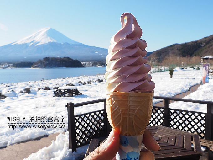 《JR東京廣域周遊券。新潟/群馬/山梨 6-6》大石公園／河口湖自然生活館、西湖療癒之鄉根場(西湖いやしの里根場)／合掌村、飥餺(ほうとう)不動河口湖店、富士急線／富士山景觀特急列車，從東京新宿搭利木津巴士去羽田機場