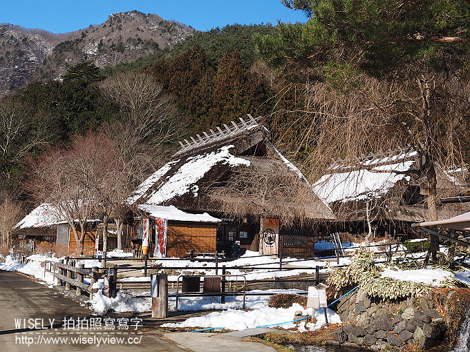 《JR東京廣域周遊券。新潟/群馬/山梨 6-6》大石公園／河口湖自然生活館、西湖療癒之鄉根場(西湖いやしの里根場)／合掌村、飥餺(ほうとう)不動河口湖店、富士急線／富士山景觀特急列車，從東京新宿搭利木津巴士去羽田機場