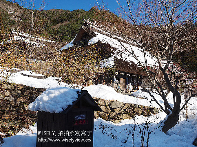 《JR東京廣域周遊券。新潟/群馬/山梨 6-6》大石公園／河口湖自然生活館、西湖療癒之鄉根場(西湖いやしの里根場)／合掌村、飥餺(ほうとう)不動河口湖店、富士急線／富士山景觀特急列車，從東京新宿搭利木津巴士去羽田機場