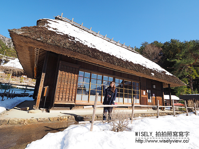 《JR東京廣域周遊券。新潟/群馬/山梨 6-6》大石公園／河口湖自然生活館、西湖療癒之鄉根場(西湖いやしの里根場)／合掌村、飥餺(ほうとう)不動河口湖店、富士急線／富士山景觀特急列車，從東京新宿搭利木津巴士去羽田機場