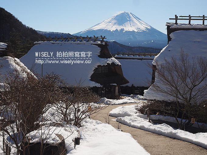 《JR東京廣域周遊券。新潟/群馬/山梨 6-6》大石公園／河口湖自然生活館、西湖療癒之鄉根場(西湖いやしの里根場)／合掌村、飥餺(ほうとう)不動河口湖店、富士急線／富士山景觀特急列車，從東京新宿搭利木津巴士去羽田機場