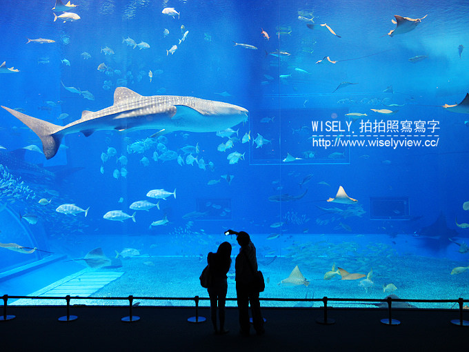 《日本沖繩。旅遊資訊工具情報》沖繩觀光多語言諮詢中心＠撥打電話或Skype或透過電子郵件查詢～美食景點購物等情報，還提供翻譯口譯與急難求助