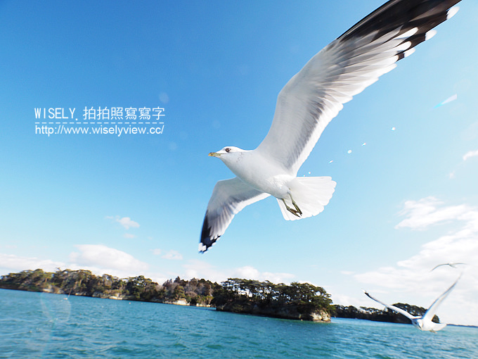 《日本東北四縣。宮城／山形／秋田／岩手 5-5》志波彥神社‧鹽竈神社、日本三景松島／五大堂、石田家牡蠣餐／松島觀光物產館、仙台機場(賦歸)