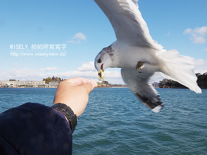 《日本東北四縣。宮城／山形／秋田／岩手 5-5》志波彥神社‧鹽竈神社、日本三景松島／五大堂、石田家牡蠣餐／松島觀光物產館、仙台機場(賦歸)