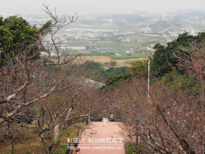 《日本沖繩自由行。景點／美食／祭典／購物／住宿 3-2》山の茶屋樂水／玉城燒、糸滿漁民食堂、八重瀨公園／中本鮮魚店、自衛隊知念屯地／知念岬公園／Café Curcuma、鐘乳石洞Cave Café／Okinawa World、琉球新麺 通堂、萬國屋民泊(Airbnb)、國際通屋台村