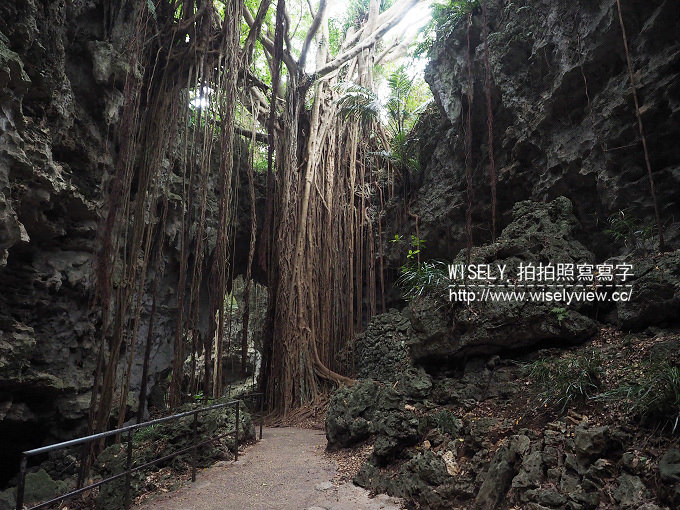 《日本沖繩自由行。景點／美食／祭典／購物／住宿 3-2》山の茶屋樂水／玉城燒、糸滿漁民食堂、八重瀨公園／中本鮮魚店、自衛隊知念屯地／知念岬公園／Café Curcuma、鐘乳石洞Cave Café／Okinawa World、琉球新麺 通堂、萬國屋民泊(Airbnb)、國際通屋台村