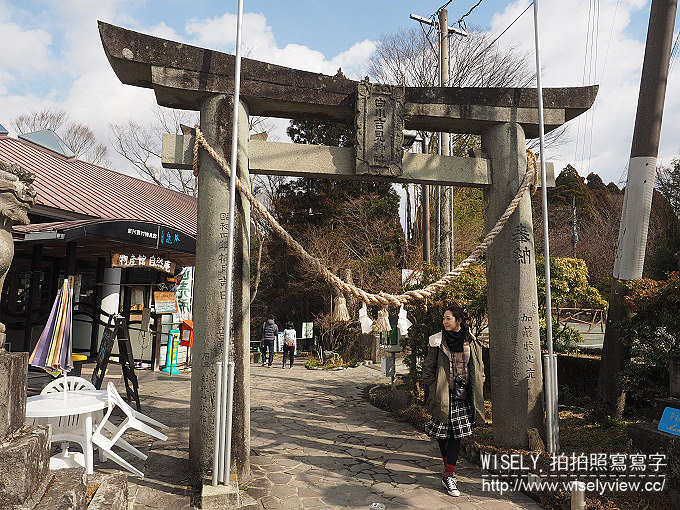 《日本。九州國家公園五天四夜自由行 5-5》阿蘇溫泉農場（饅頭屋）ASO Farm Land／阿蘇健康火山溫泉、白川水源／吉見神社、桜の馬場 城彩苑／湧湧座、福岡天神通／新天町地下favo（藥妝免稅店／百元商店）