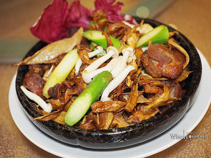 《新北深坑。捷運動物園站美食》台北假日飯店(港式飲茶餐廳-悅 Canton)＠平價環境佳不收茶資，特色熱炒料理也好吃